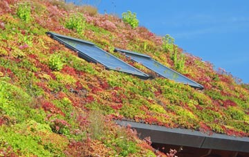 Paradise living roof systems